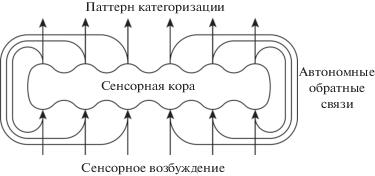 Статья: Измененные состояния сознания: психологический анализ